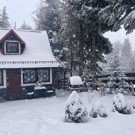 Chata Pietraszyna Koniaków Exterior foto