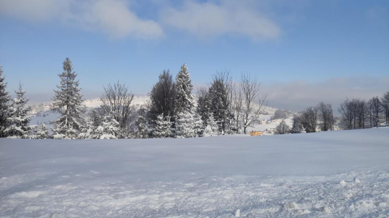 Chata Pietraszyna Koniaków Exterior foto