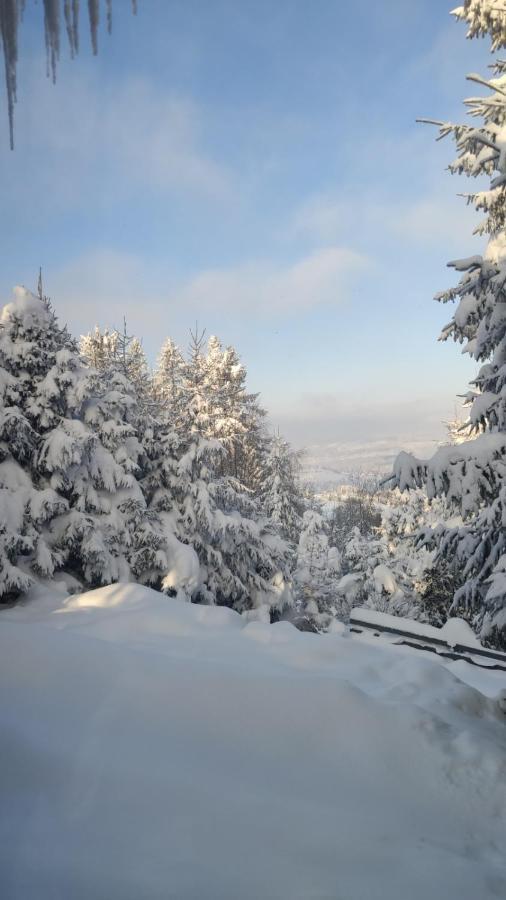 Chata Pietraszyna Koniaków Exterior foto