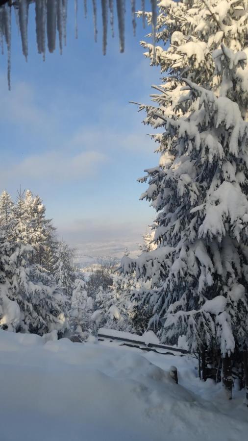 Chata Pietraszyna Koniaków Exterior foto